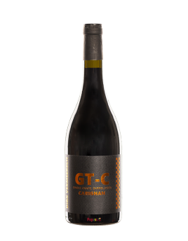 LePlan GT-C Carignan 2021