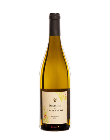 Domaine du Krayenberg · Muscaris 2025