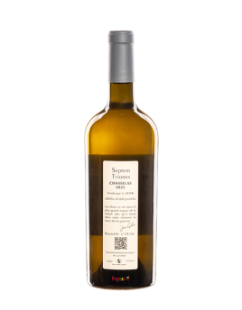 Chasselas 2025
